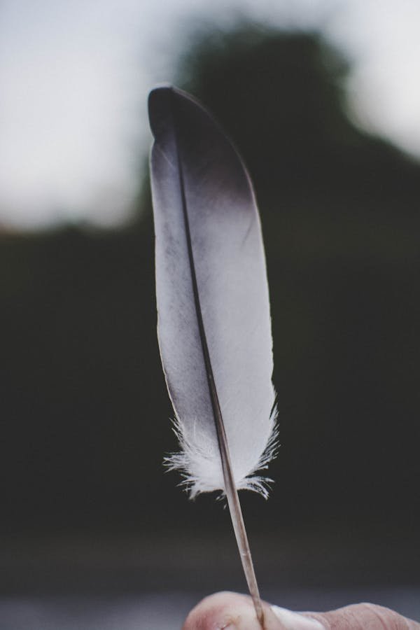 10 reasons to choose natural feathers for eco-friendly style
